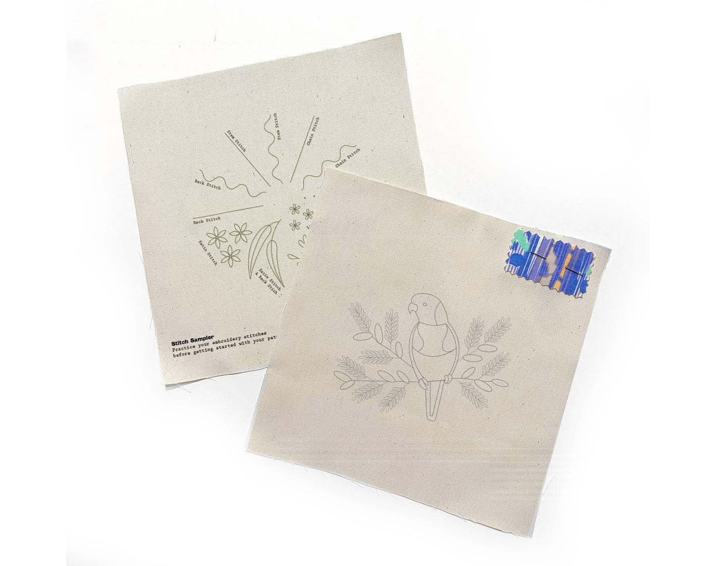 Beginners Embroidery Kit - Lorikeet