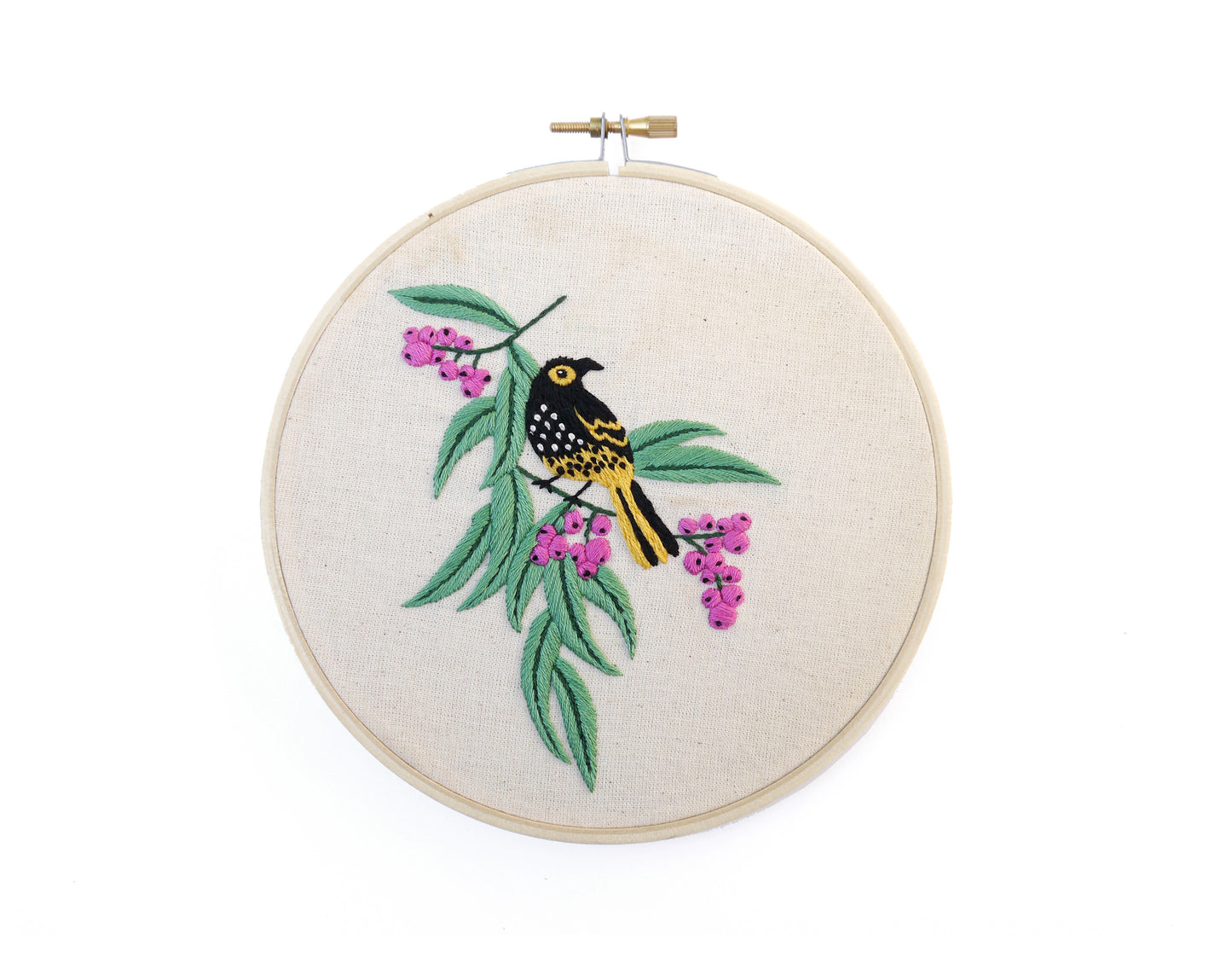 Beginners Embroidery Kit - Honeyeater